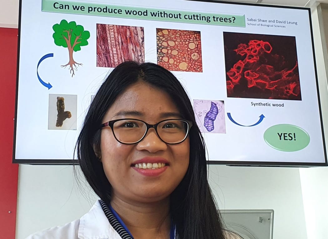 Sabai Saw Shwe is a PhD student developing ways of growing wood in the lab.