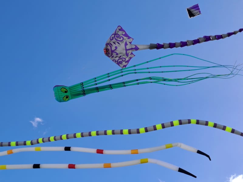 The annual Whakarewa Manu Tukutuku, Kite Day, will take place on Saturday at Ngā hau e whā o Pukekohe Marae in Auckland.