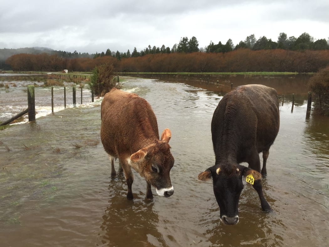 Flooding at Aratika on the West Coast on Friday 19 June.