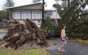 A boy walks past an uprooted tree in front of the Miami Beach Surf Lifesaving Club in the aftermath of Cyclone Alfred on the Gold Coast on March 8, 2025. Cyclone Alfred weakened into a tropical low on March 8 but still threatened to unleash major floods on swollen rivers as it approached the rain and wind-lashed eastern coast of Australia. (Photo by DAVID GRAY / AFP)