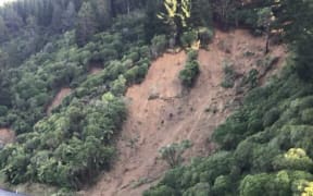 Slips on the Tākaka Hill Rd after Cyclone Gita in February 2018.