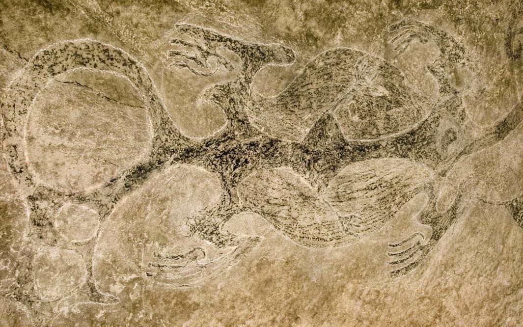 Ngāi Tahu rock art of three taniwha with their tails intertwined.