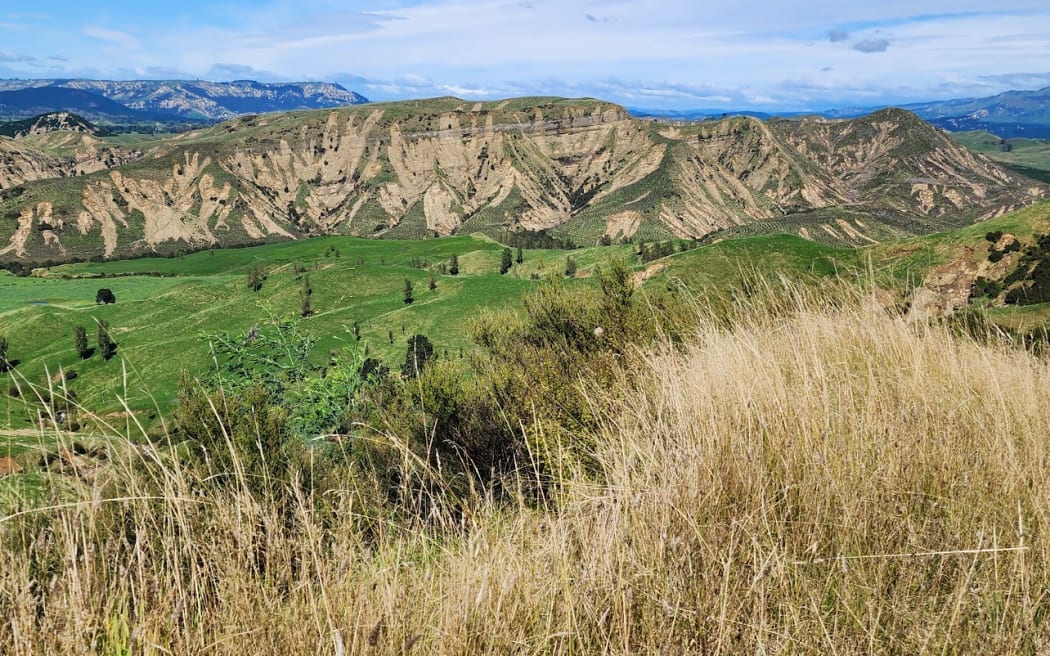 The scarred hillsides of Tutira after Cyclone Gabrielle.