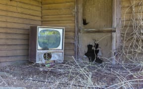 [Homestead, Georgia, United States] Old TV set on front porch of an abandoned homestead. (Photo by Mint Images / Mint Images / Mint Images via AFP)