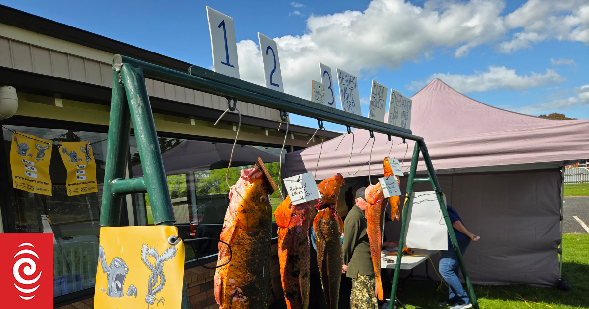 Tonnes of pest fish taken out in bow hunting competition