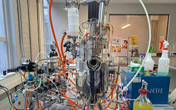 Dairy without the cow? Auckland food-tech startup explains how | RNZ