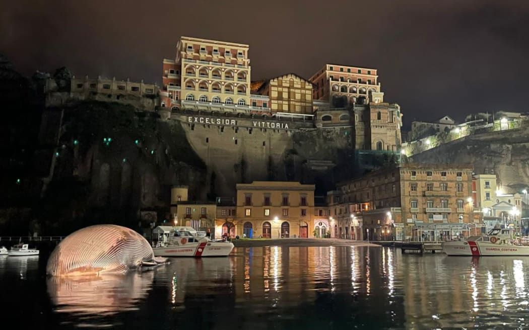 A photo taken overnight and handout on January 20, 2021 by the Italian Coast Guards (Guardia Costiera) shows the carcass of a huge dead whale (L) in the port of the Sorrento, south of Naples, as it's being towed away by the Italian Coast Guards towards the port of Naples,