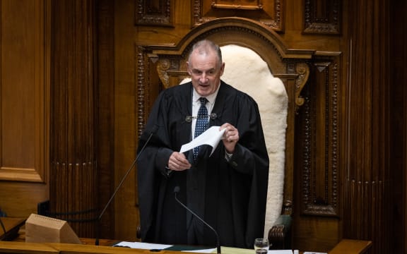 Trevor Mallard addresses the House