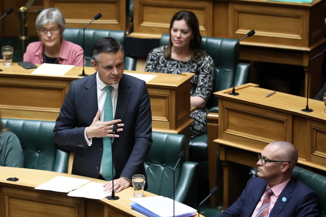 Green Party co-leader James Shaw