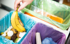 Man putting banana peel in recycling bio bin in the kitchen. Person in the house kitchen separating waste. Different trash can with colorful garbage bags.