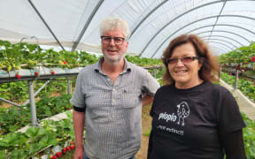 Mike and Angela Roy standing in one of their polytunnels
