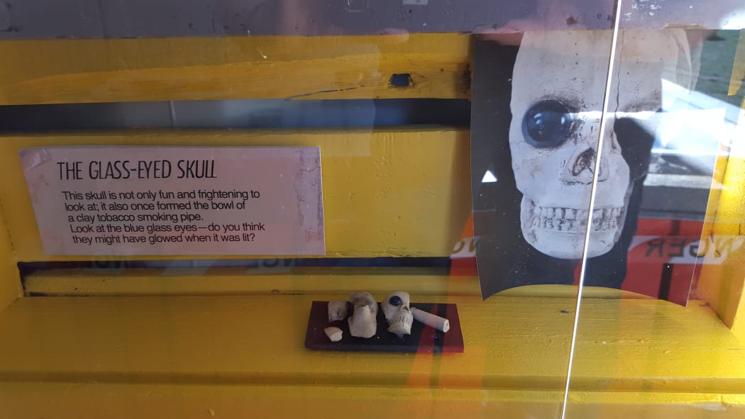 A clay pipe shaped as a skull found in central Christchurch.