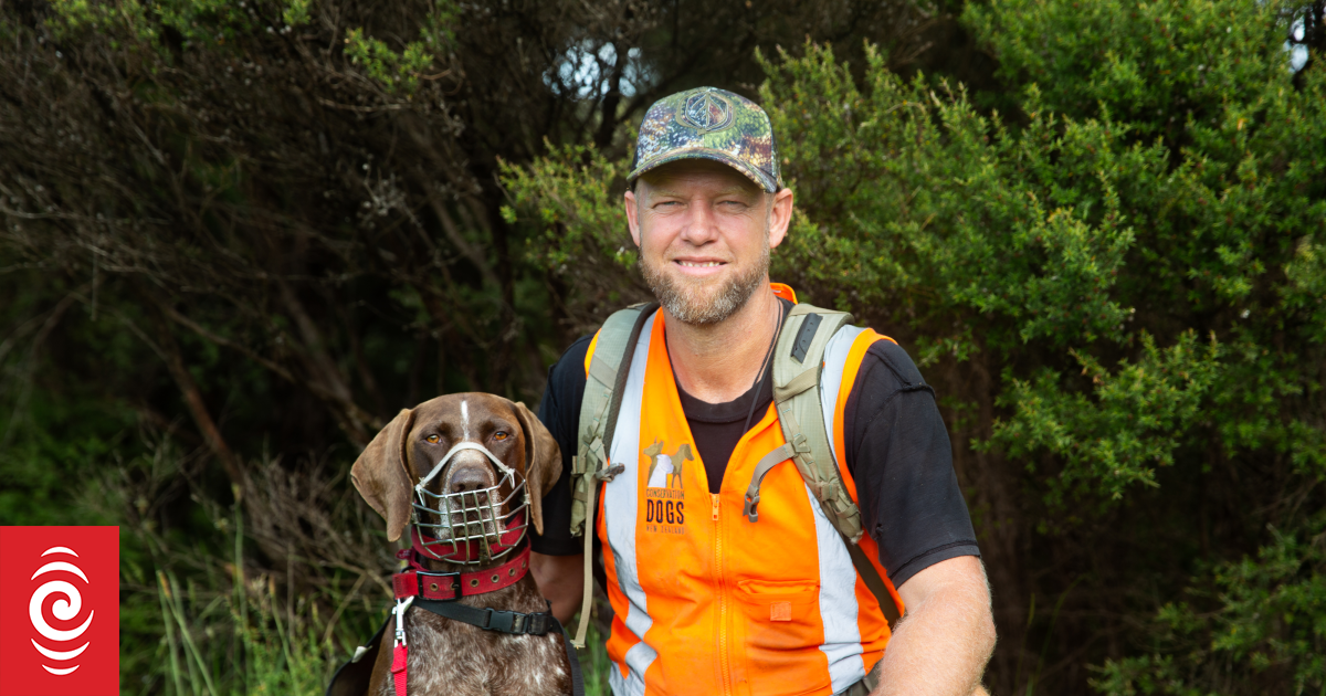 Why are there so few rules for biodiversity-damaging cats?