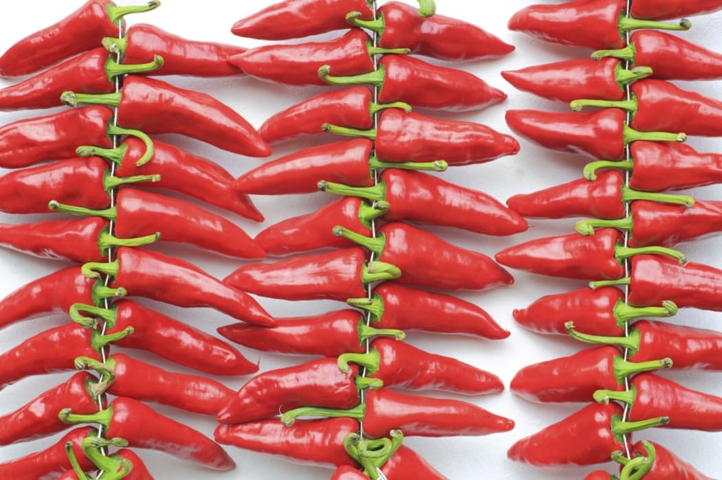 France, Pyrenees Atlantiques, Basque Country, Itxassou, strings of Espelette PDO chilli peppers drying on a facade of a Labourdine house (Photo by MAISANT Ludovic / hemis.fr / hemis.fr / Hemis via AFP)