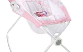Fisher-Price Rock 'n Play