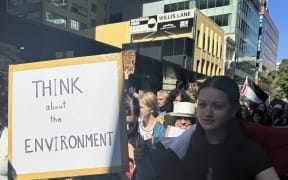 Climate protest in Wellington