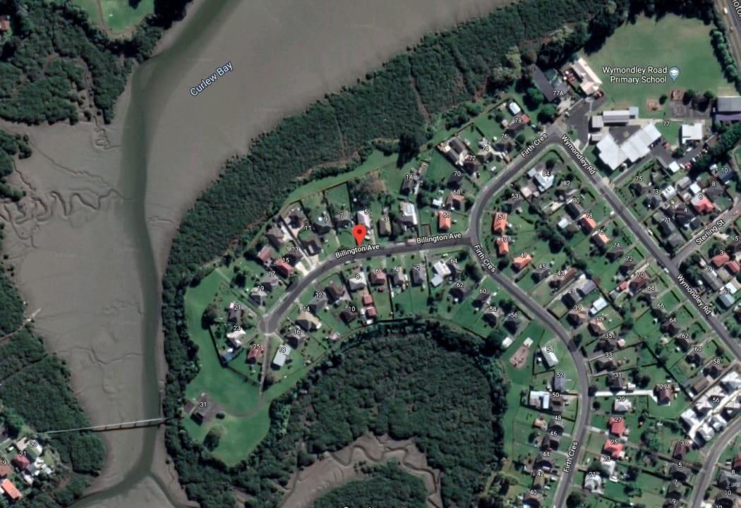 Billington Avenue, Otara.
