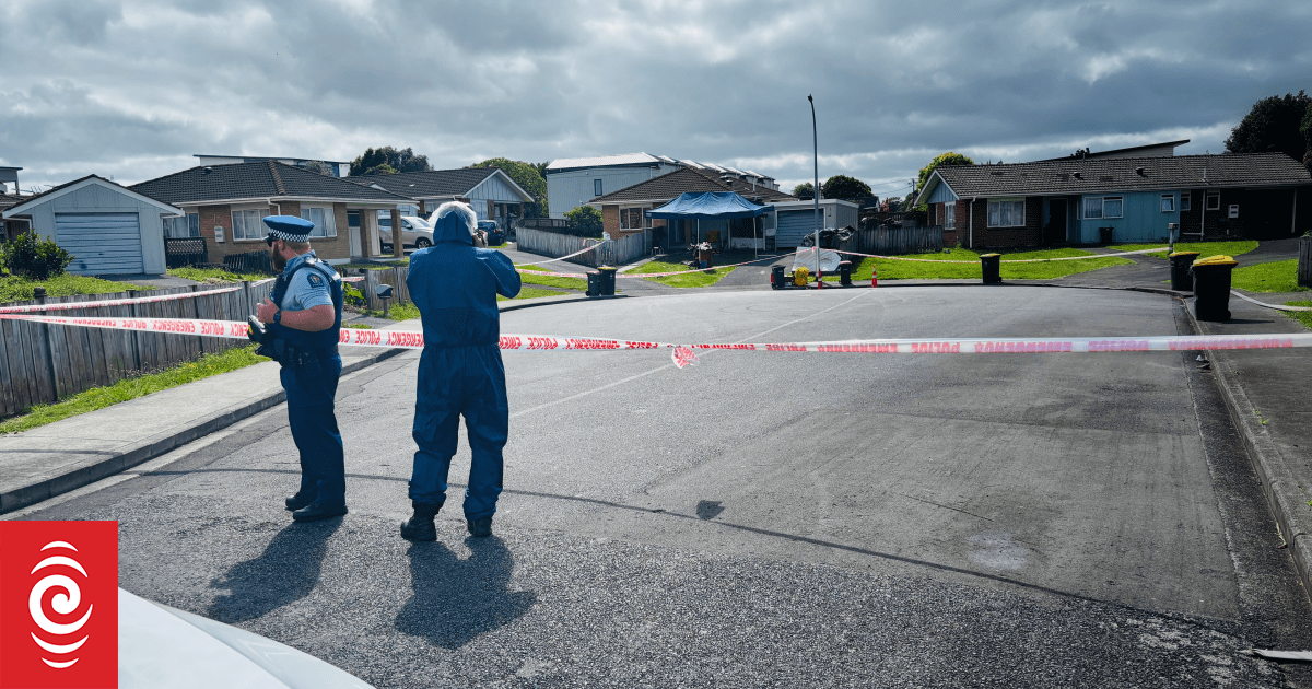 Two people charged with murder of man in Manurewa