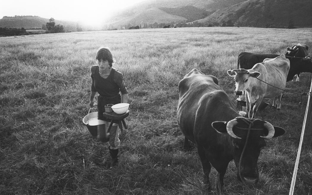 Milking_at_dawn_j