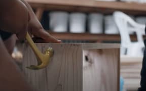 Image from MPI video encouraging the primary sector to employ more people with disabilities.
