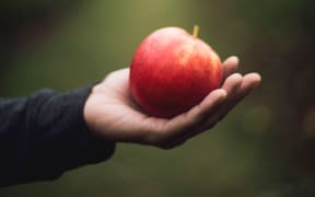 hand with apple