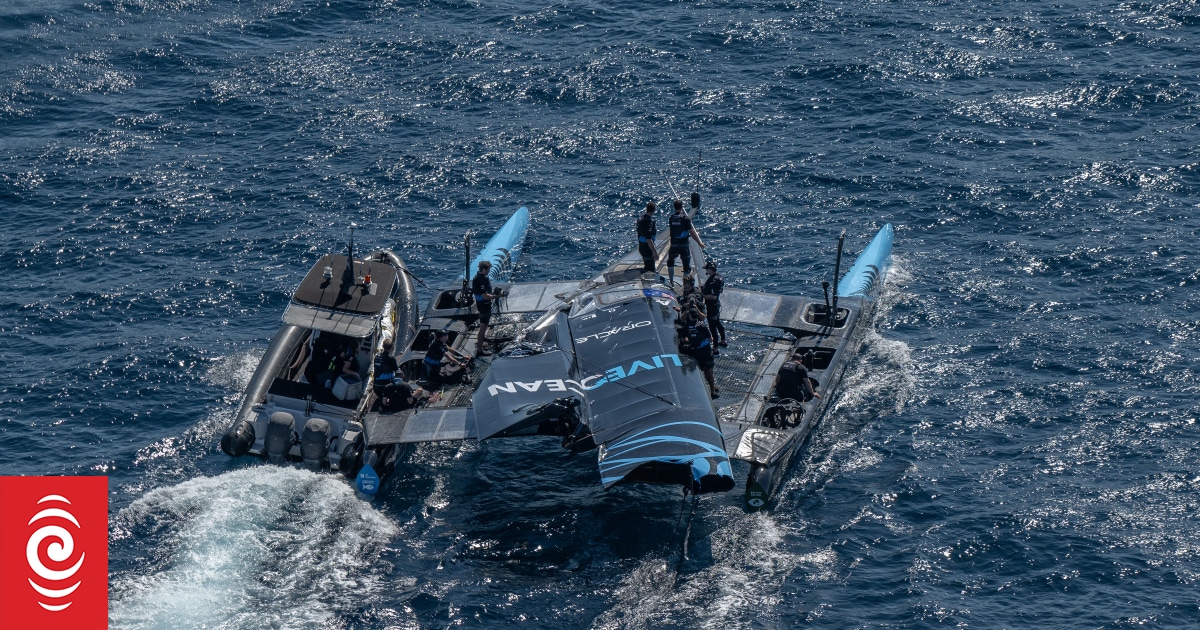 NZ SailGP team back after French disaster RNZ News