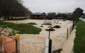 Pigeon Valley flooding on 11 July, 2025.