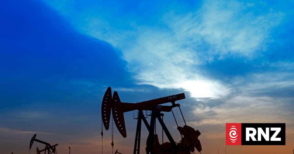 Explainer: Strategic oil reserves, a crisis cushion - RNZ