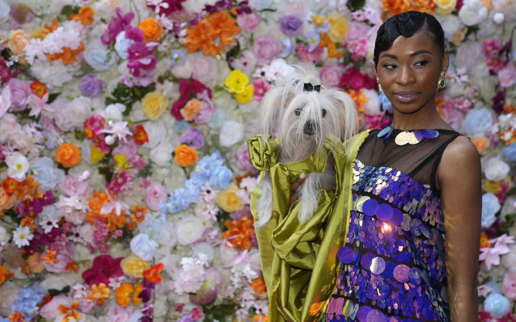 A dog and model attend the Pet Gala fashion show at AKC Museum of The Dog on Monday, 20 May 2024, in New York.