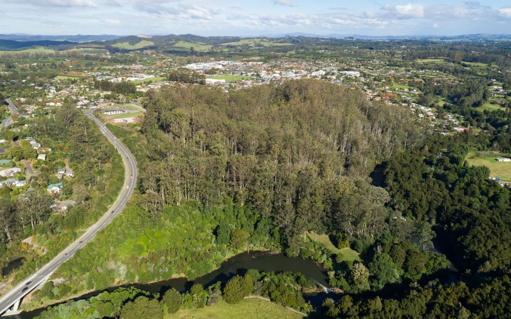 An almost 30ha block of gum trees between the Heritage Bypass (left), Kerikeri River (bottom) and the town centre has long formed part of Kerikeri's skyline.