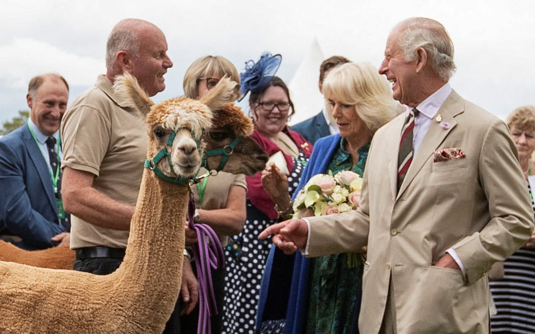 King Charles III and Queen Camilla meet livestock and their owners at Theatr Brycheiniog on July 20, 2023 in Brecon, south Wales. Their Majesties The King and Queen will meet members of the local community and celebrate the local volunteering and public service sector at Theatr Brycheiniog.