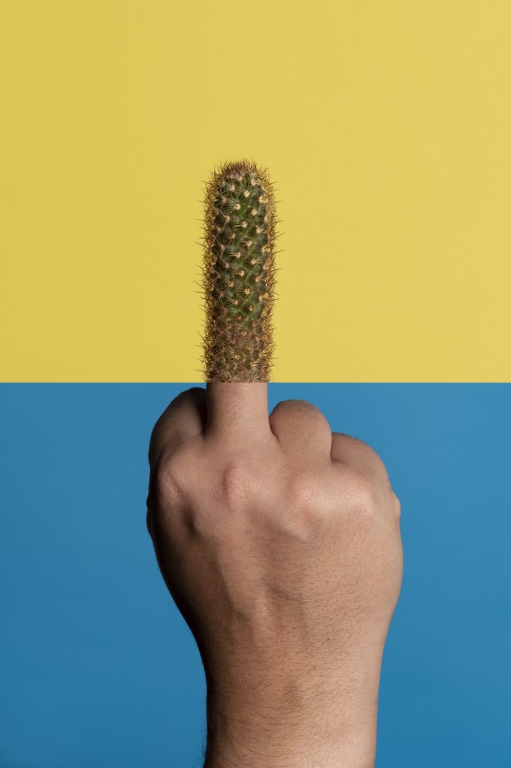 Studio shot of man's hand giving the finger, the finger is replaced by a cactus, against a yellow and blue background.