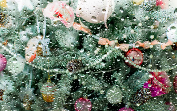 A Christmas tree seen through a window on a rainy day.