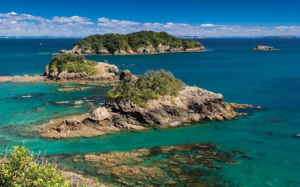 Hauraki Gulf