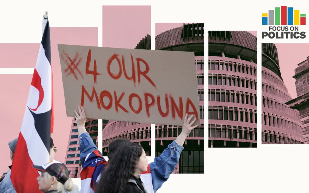 Focus on Politics: Composite image of protestors for National Māori Action Day in front of the Beehive