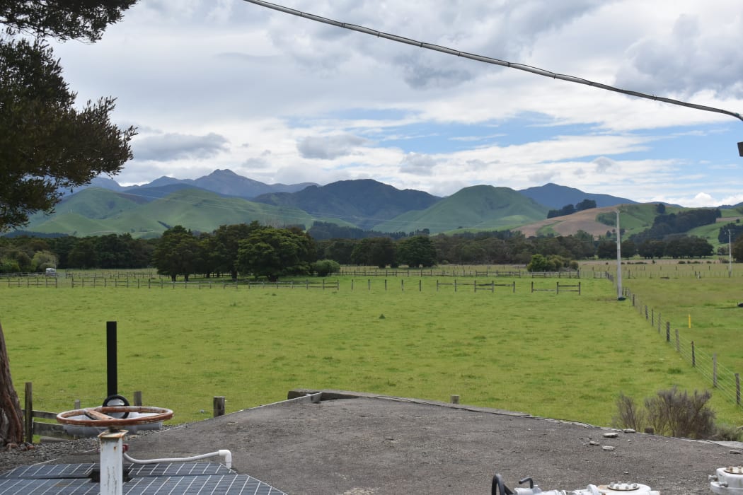A view of the land purchased, looking out from the Kaituna Water Treatment Plant