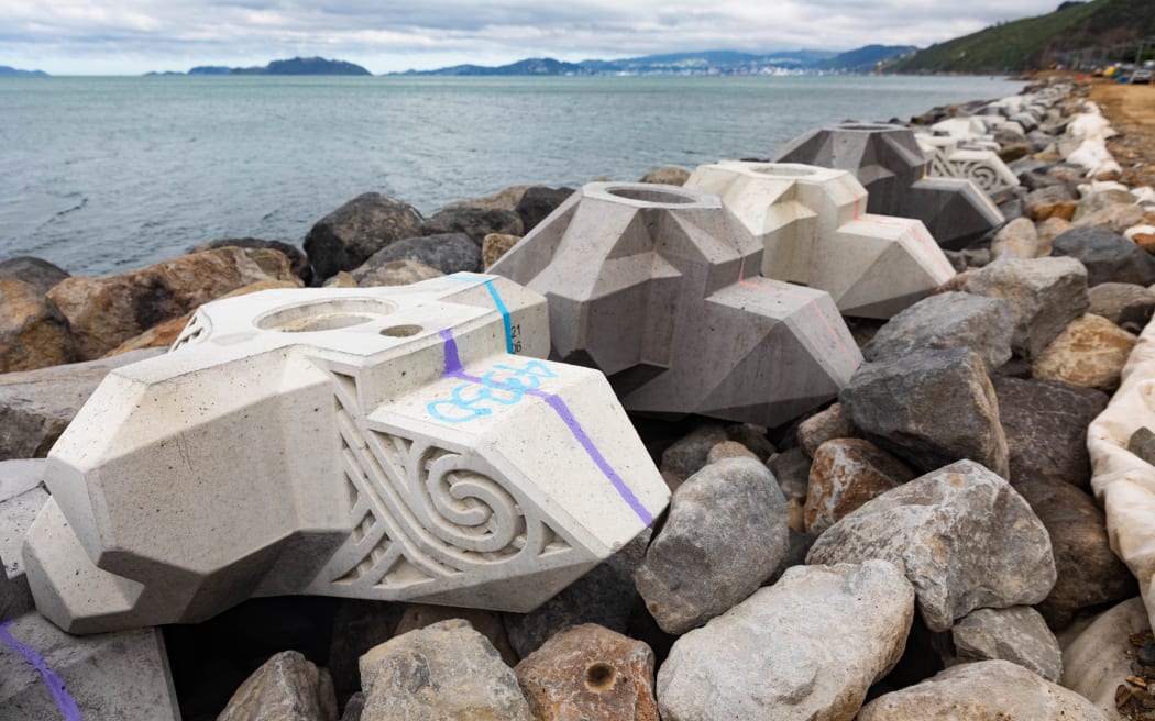 Some of the 6000 xblocs that form part of the seawall at the site of Te Ara Tupua
