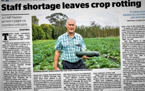 Kerikeri courgette grower Brett Heap in The Herald last Tuesday.