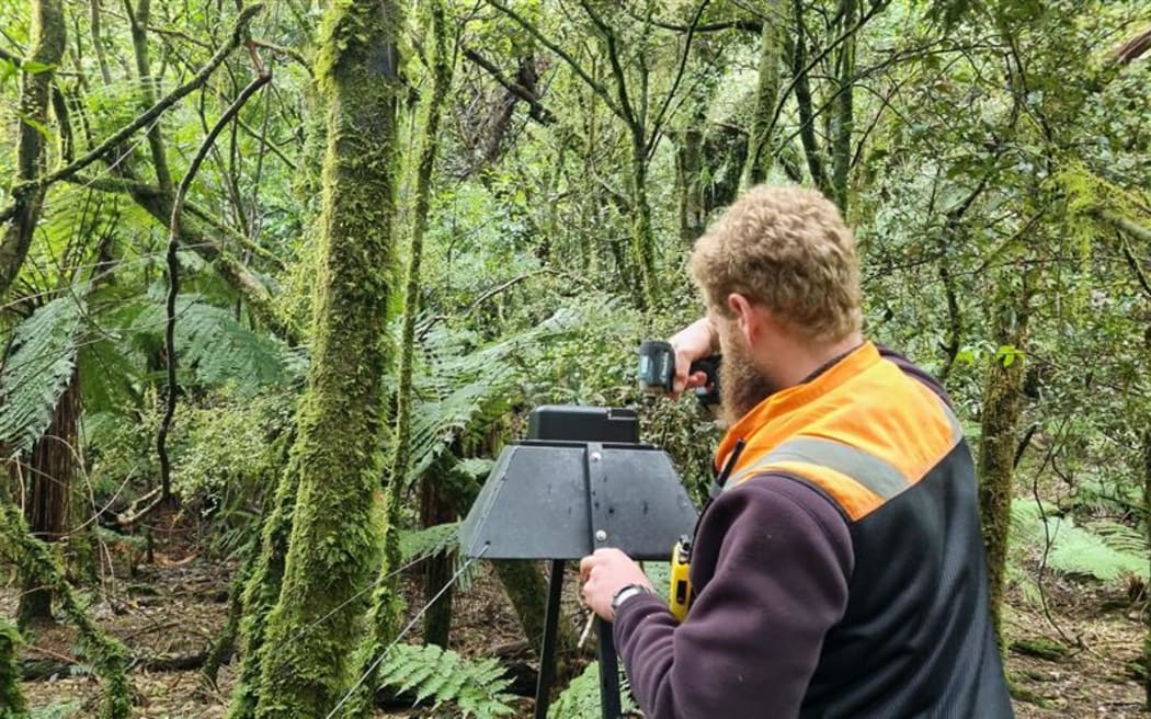 Field ranger Chad Cottle services an AI camera near Scone Hut that can identify predators and send a snapshot of their thermal signature back to base for staff to double check.