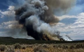 Bucktail fire in Colorado in August.