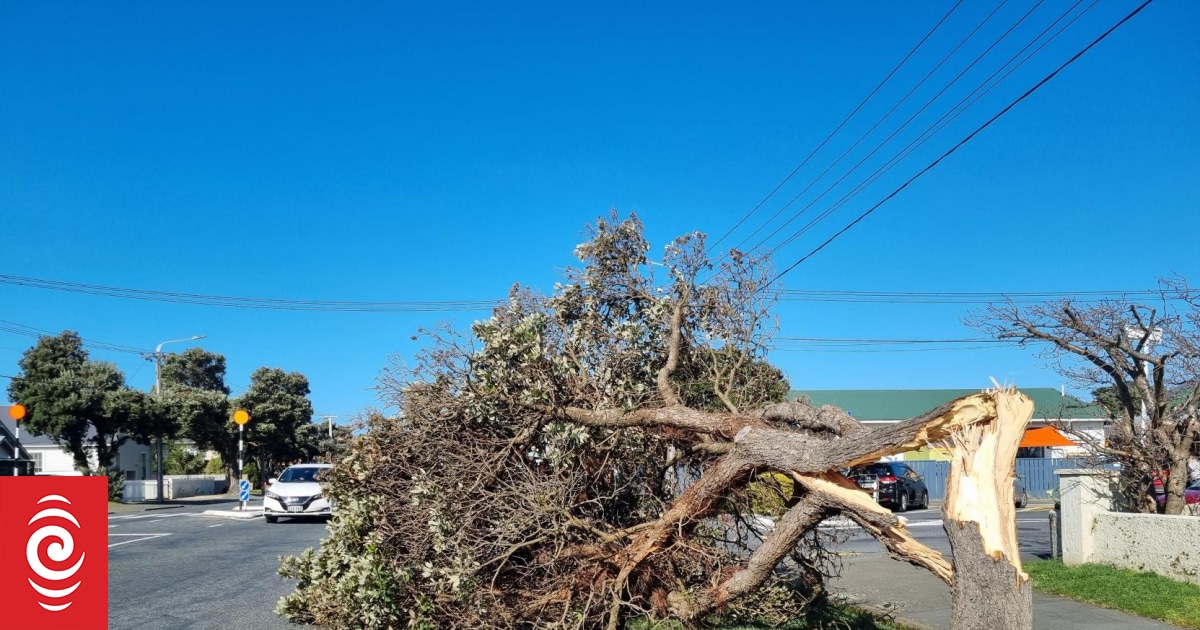 Gale force winds that battered the country thanks to El Niño, experts say - Vimarsana News