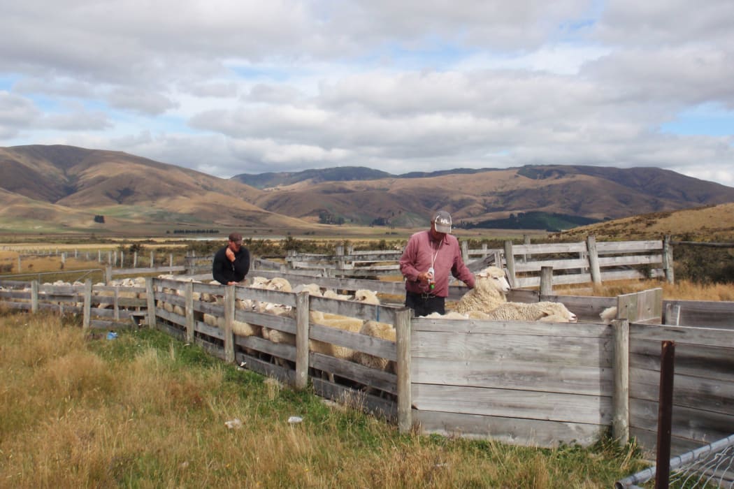 Stewart and Craig Dalzell