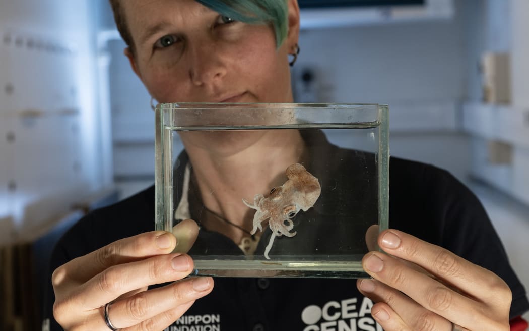 A woman with short blue hair holds up a small tank with a tiny squid suspended in clear liquid.