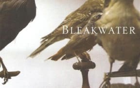 Bleakwater's debut album