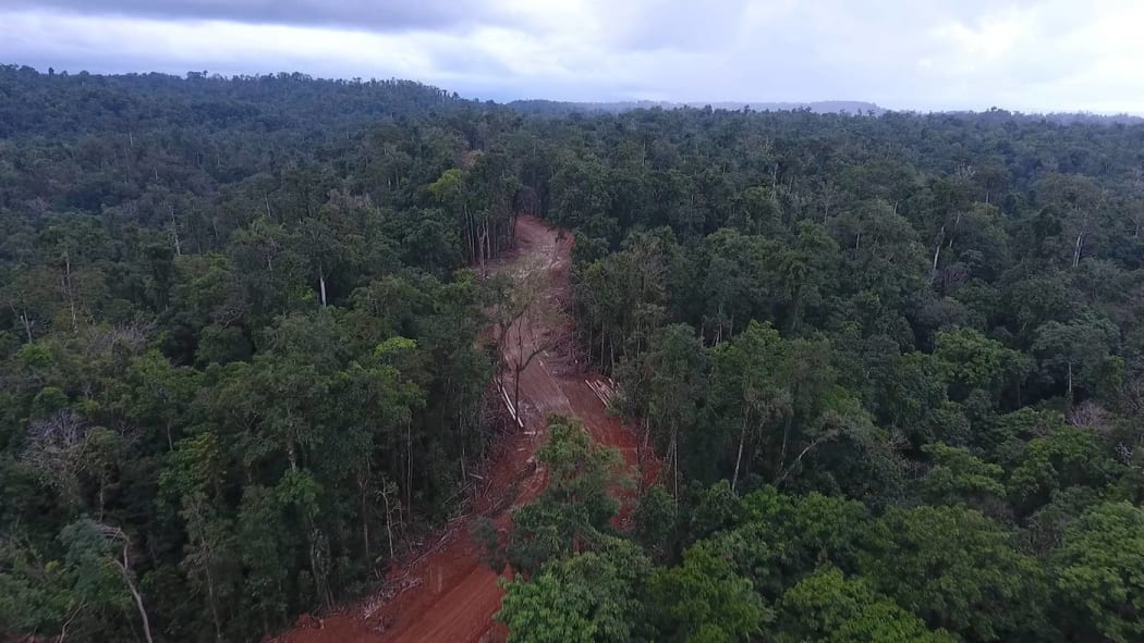 Logging road, Pomio, East New Britain.