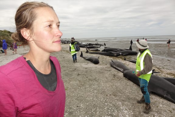 Bridie Griffiths of Golden Bay has been to every whale stranding since she was a child. She says this is the worst she has seen.