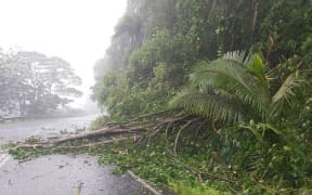 Fallen trees block Transinsular Road, near Lomaloma Village as Cyclone Yasa makes landfall in Fiji.