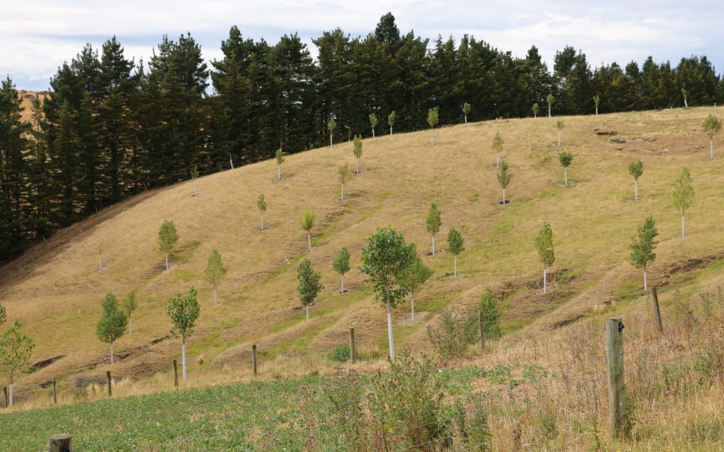 Ian Knowles has more than sheep and cattle on his North Canterbury farm