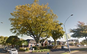 The tree on Arawa Street which came down in the storm, killing a woman in her car.
