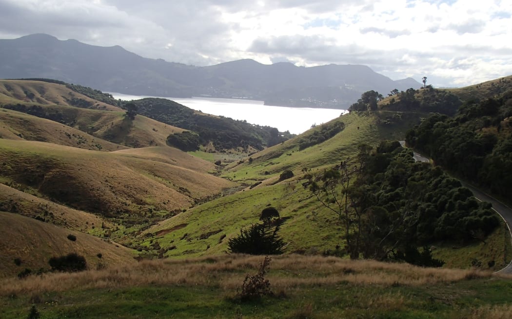 View across Hereweka Farm towards Otago Harbour. Once covered in forest, Otago Peninsula is now mostly farmland.